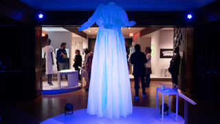 Algae Raincoats, Mushroom Caskets: New Exhibit Asks Us to Radically Rethink How We Live With Nature